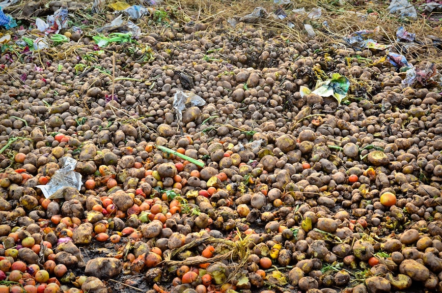 Harvested potatoes are left to rot in a parking lot in Haryana province. Overproduction in one region recently caused farmers to dump their potatoes in the street to protest government inaction.