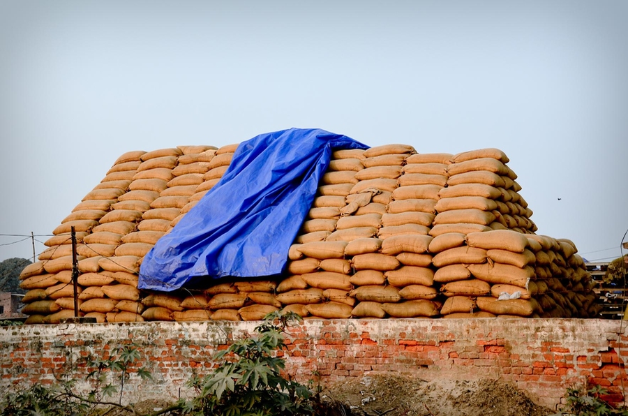 Grain sits unprotected at a government storage depot. Without proper storage facilities, the grain is susceptible to pests and rain that can result in significant spoilage and waste.