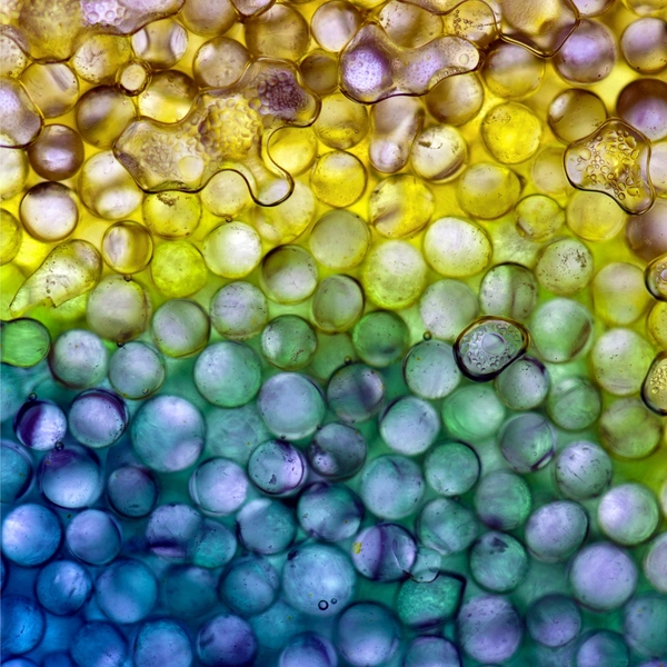 Using tiny glass beads, the researchers simulated the way liquified carbon dioxide would spread through salty water in the pores of deep rock formations.