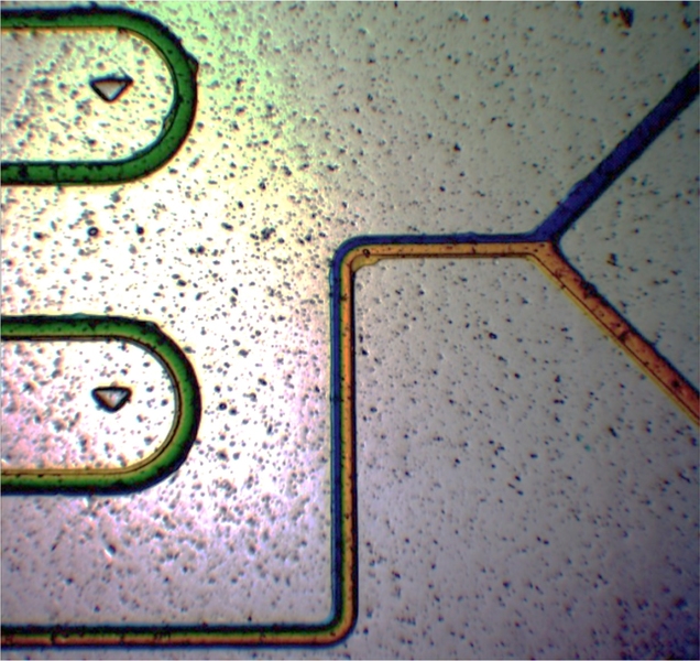 The Center for Polymer Microfabrication is designing processes for manufacturing microfluidic chips. Pictured here is a closeup of a chip fabricated by the center's tailor-made production machines.