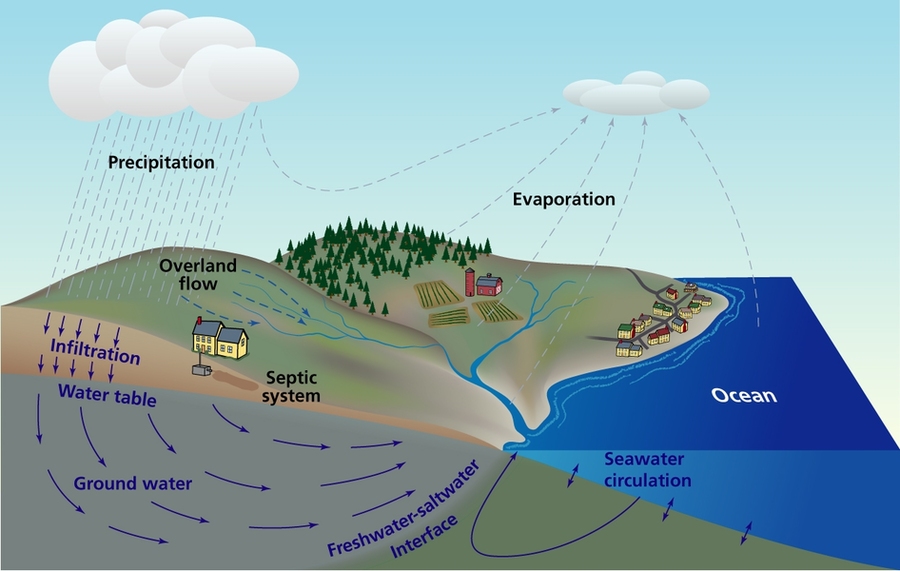 A cross-section of a typical coastal aquifer illustrating groundwater flow paths and sources of nutrients to the aquifer.