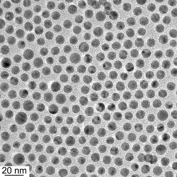 An electron microscopy image of hybrid gold/copper nanoparticles.