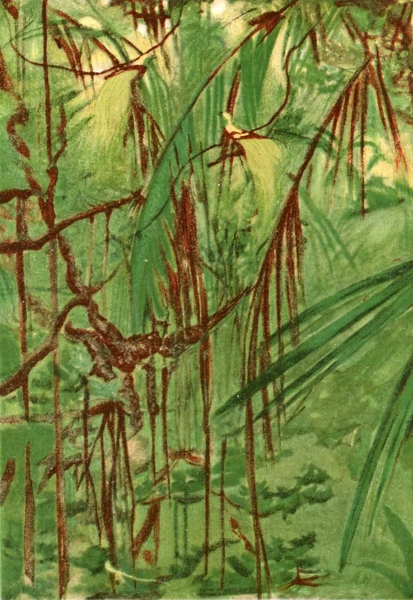 These color plates, from the 'Art of Disappearance' portfolio in Hanna Rose Shell's book <i>Hide and Seek,</i> represent the attention paid to naturally existing forms of protective coloration around the time that 'camouflage' got its name, and began to serve as a model for a new set of human technologies of strategic concealment; they draw from the collection of artist and nat...
