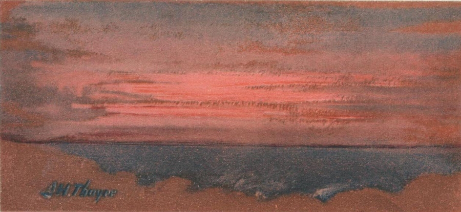 These color plates, from the 'Art of Disappearance' portfolio in Hanna Rose Shell's book <i>Hide and Seek,</i> represent the attention paid to naturally existing forms of protective coloration around the time that 'camouflage' got its name, and began to serve as a model for a new set of human technologies of strategic concealment; they draw from the collection of artist and nat...