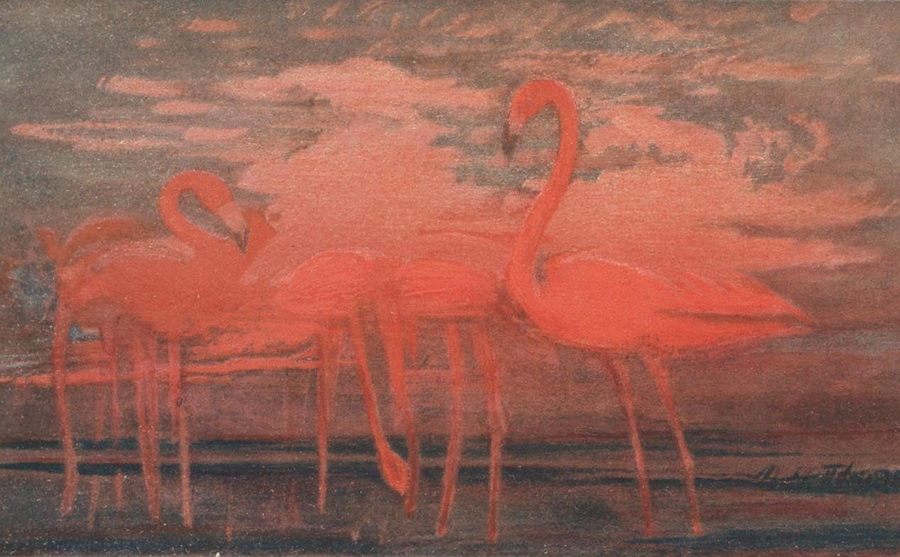 These color plates, from the 'Art of Disappearance' portfolio in Hanna Rose Shell's book <i>Hide and Seek,</i> represent the attention paid to naturally existing forms of protective coloration around the time that 'camouflage' got its name, and began to serve as a model for a new set of human technologies of strategic concealment; they draw from the collection of artist and nat...