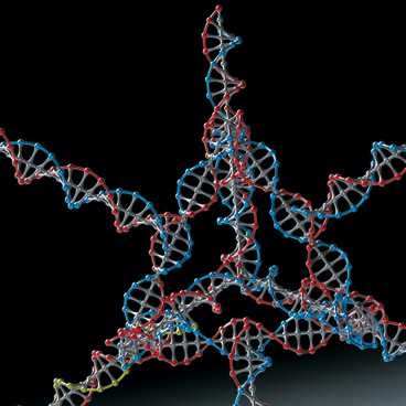 Researchers successfully used this nanoparticle, made from several strands of DNA and RNA, to turn off a gene in tumor cells.