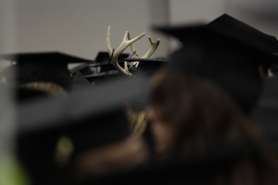 A set of antlers sticks out among the caps and gowns.
