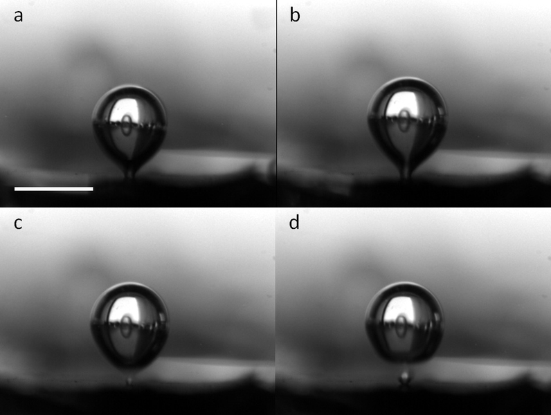 Time-lapse images of vapor bubble departure on the microstructured surfaces (a-d).