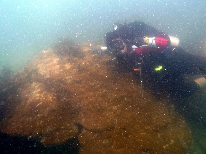 MIT researchers who have sampled the Indian Ocean's water and corals have found high concentrations in lead deposited from Asia and Africa's industrial processes. 