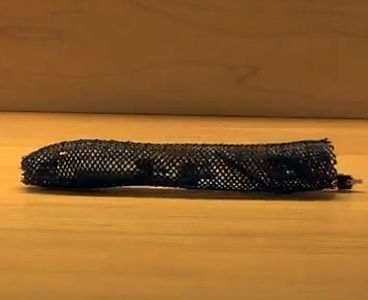 tube-shaped robot