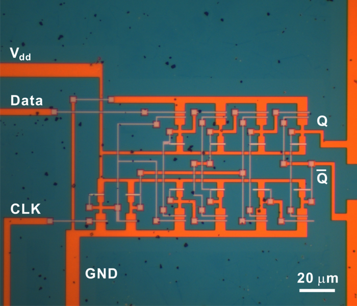 An optical-microscope image shows a complex integrated circuit, called a JK flip-flop circuit, a basic logic device, made on a piece of molybdenum disulfide by the MIT team.