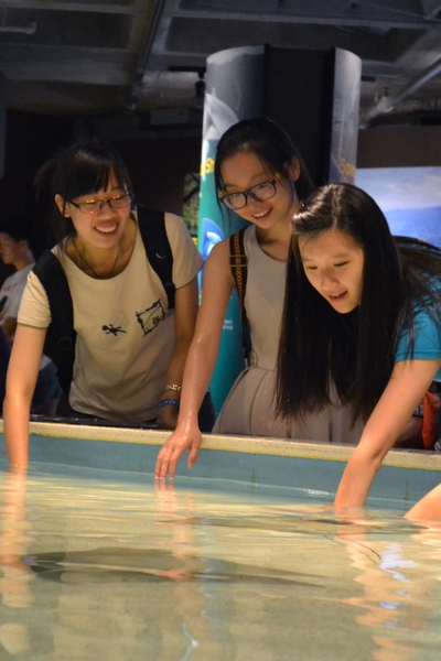 There were several ways to get involved throughout The Friday Night Event — from the visually stimulating IMAX experience to reaching into the New England Aquarium's touch-tank exhibit.