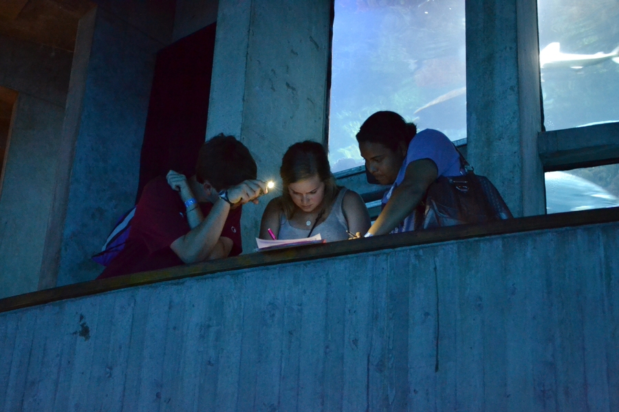 This year's trip included a challenging multi-piece puzzle for students to complete throughout the night. Many students formed groups to collaborate and brainstorm ideas to complete each puzzle sheet.
