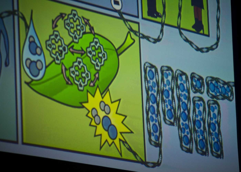 One presenter's slide featured a biologically inspired representation of the MIT logo.