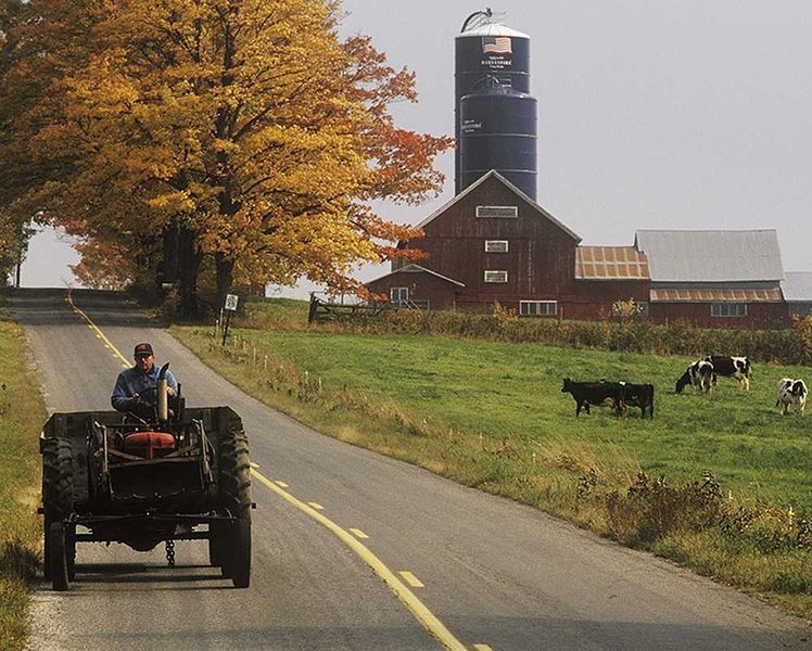 Photo of a tractor rolling along a road next to a farm with cows grazing and a large silo