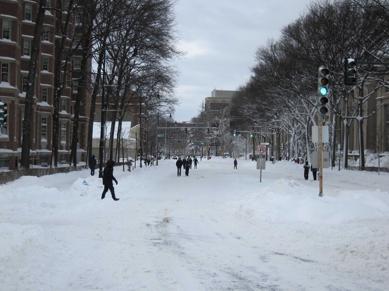 With automobile travel banned statewide, the carless Massachusetts Avenue allowed more room for pedestrians.