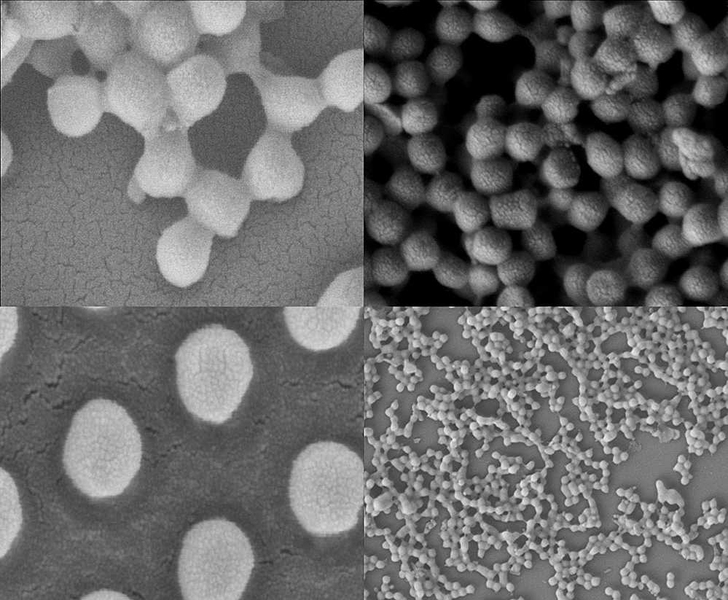 coated nanoparticles