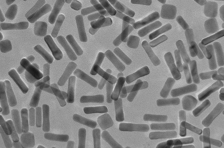 An electron micrograph of gold nanorods.