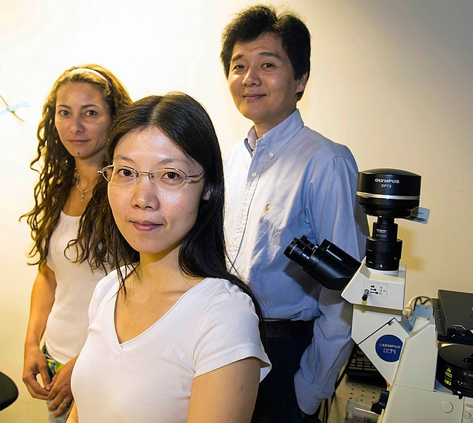 From left: Research scientist Monica Diez Silva, postdoc Sarah Du and principal research scientist Ming Dao, all of MIT's Department of Materials Science and Engineering.