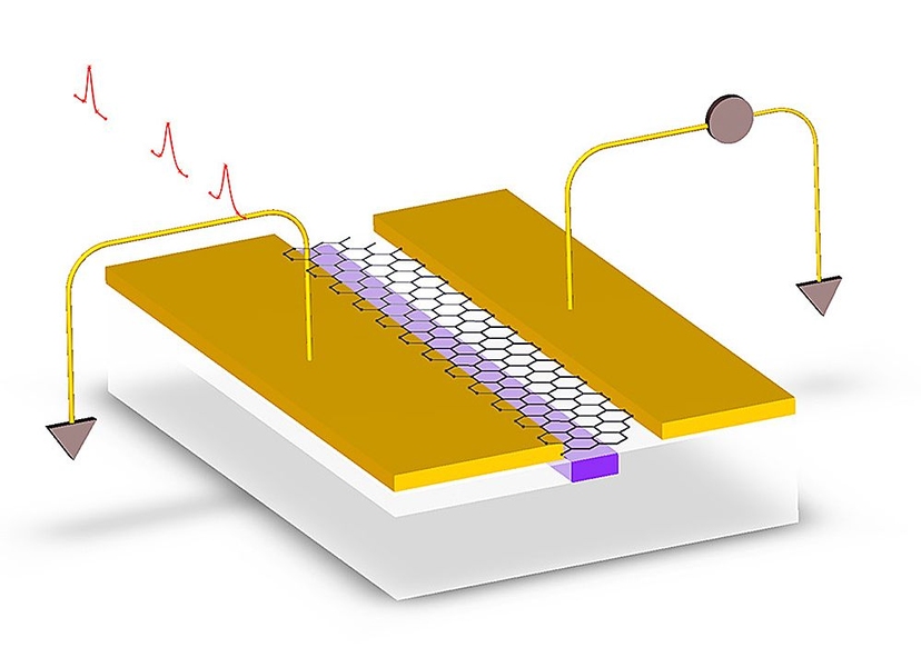 In a new graphene-on-silicon photodetector, electrodes (gold) aredeposited, slightly asymmetrically, on either side of a silicon waveguide(purple). The asymmetry causes electrons kicked free by incoming light toescape the layer of graphene (hexagons) as an electrical current.