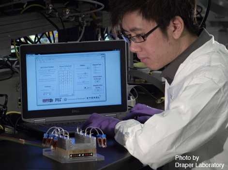 PhD student with "Human body on a chip" prototype.