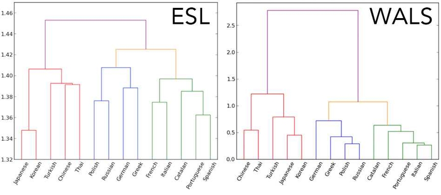 These two language similarity trees were constructed using the Ward agglomerative hierarchical clustering algorithm. The left tree uses the ESL derived distances; the right tree uses the WALS-based shared-pairwise language distances. The left tree, based on 14 languages in the data set, is almost identical to the family tree (right), generated from data amassed by linguists. 