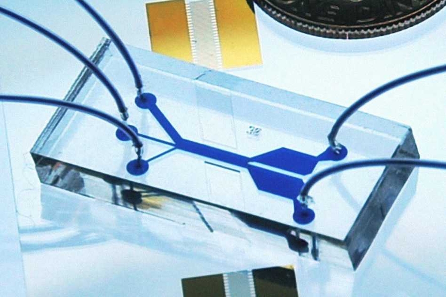 This microfluidic device uses sound waves to sorts cells as they flow through the channel, from left to right. 