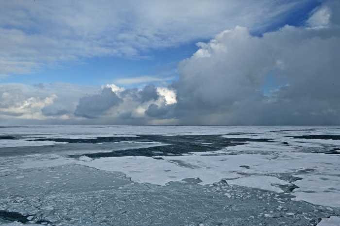By 2050, sea ice may vanish during Arctic summers.