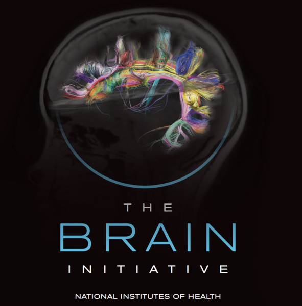 The Brain Initiative