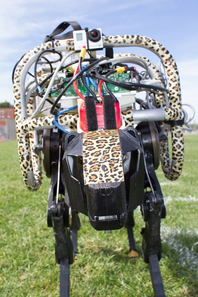 The face of the MIT cheetah-bot