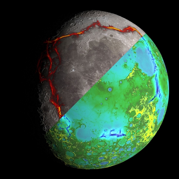 This image of the moon is divided into two halves. The top half shows the rectangular pattern of gravity anomalies bordering the Procellarum region, superimposed in red. The bottom half depicts the topography of the Moon from the Lunar Orbiter Laser Altimeter, with the gravity anomalies bordering the Procellarum region superimposed in blue.