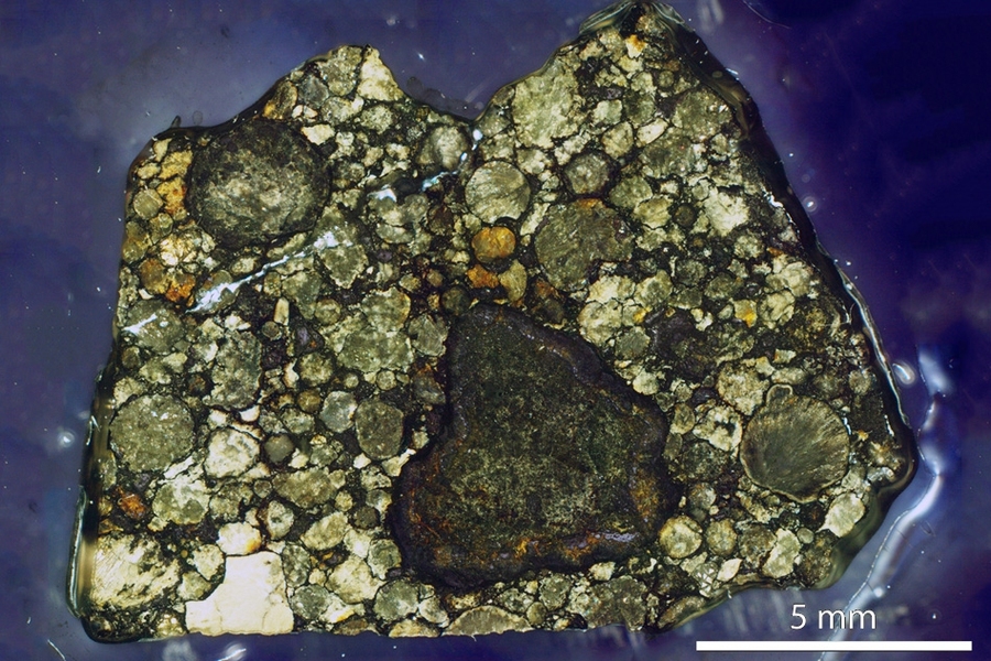 Magnified image of the section of the Semarkona meteorite used in this study. Chondrules are millimeter sized, light-colored objects. 