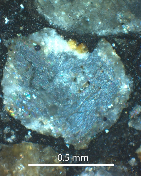 Microscope image of a single chondrule from the Semarkona meteorite used in this study. Textured, light-blue regions represent concentrations of dusty olivine, which carry a recording of ancient magnetic fields from the protoplanetary disk. 