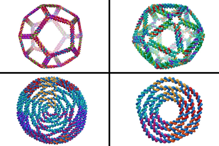 Top row: 3-D structural predictions generated using CanDo by Stavros Gaitanaros, a researcher in MIT's Laboratory for Computational Biology and Biophysics (LCBB), based on sequence designs provided by Fei Zhang of the Hao Yan Lab at Arizona State University. Bottom row: designs by Keyao Pan (LCBB)/Nature Communcations
