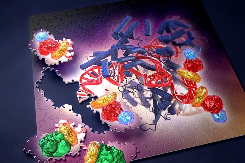 Colorful gene and DNA strands are depicted as puzzle, as some pieces are taken out.