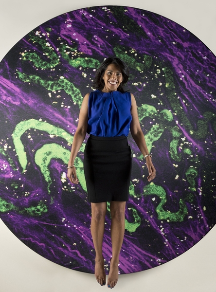 Sangeeta Bhatia’s research draws on biological and medical sciences, and engineering.