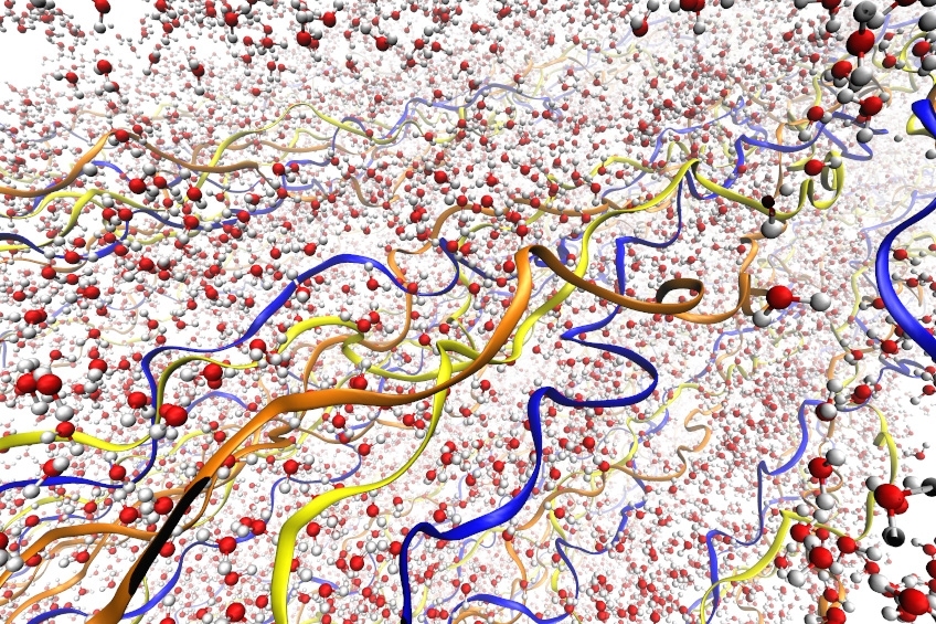 Illustrations depict the collagen fibrils, with their triple-helix structure, surrounded by water molecules. The three different chains of the triple helix are depicted in different colors. Water molecules are shown in red and gray.