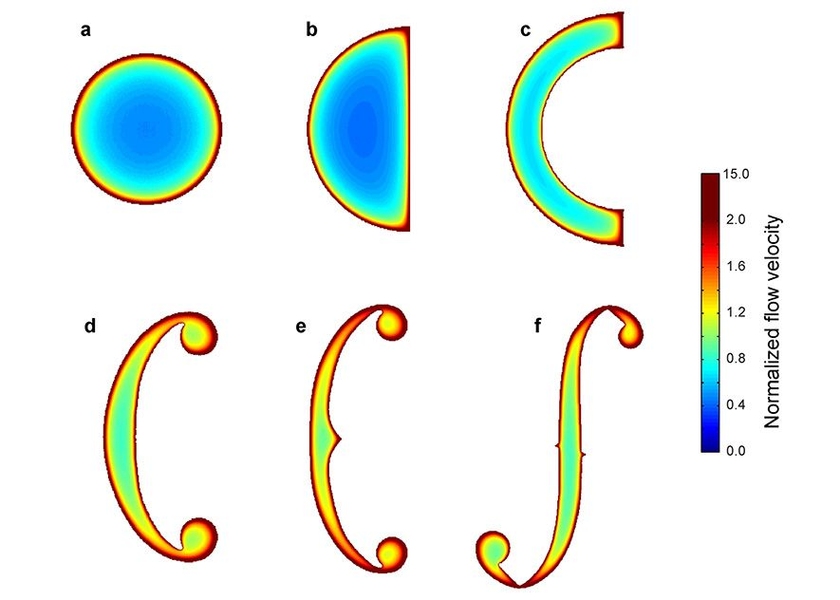 Researchers found most of the sound produced from the violin and its ancestors flows through a sound hole's perimeter, not its interior.