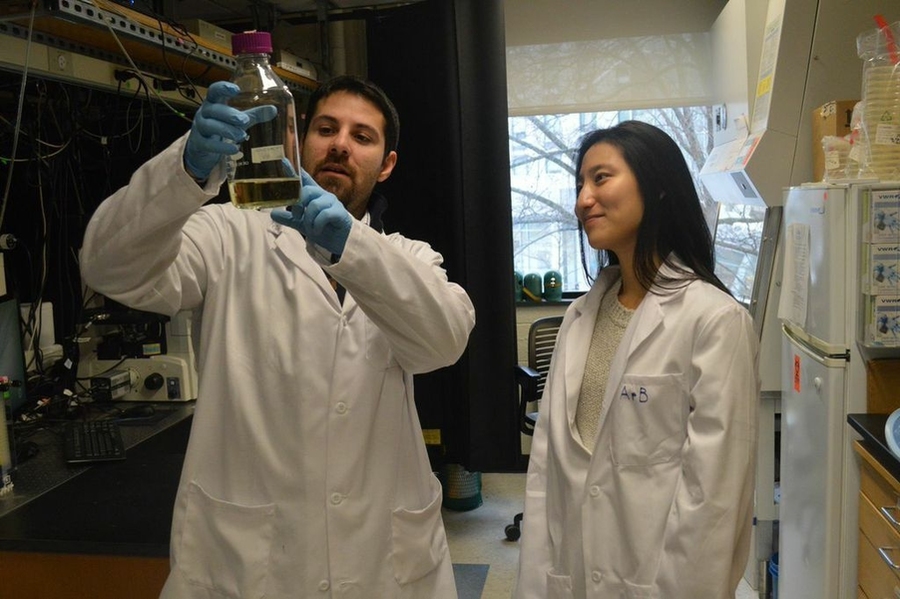 CEE postdoc Filippo Menolascina (left) and freshman Jae Hyun Kim 