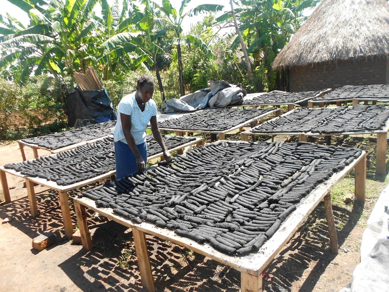 New D-Lab Scale-Ups fellow Betty Ikalany runs a company in Uganda making cleaner-burning charcoal briquettes from agricultural waste (maize/corn cobs, groundnut husks etc.), charcoal dust, and cassava flour as a binder. This mixture is molded using charcoal presses or extruders, placed under the sun to dry and packaged for sale to households and institutions. Ikalany's D-Lab Scale-Ups fellowship i...