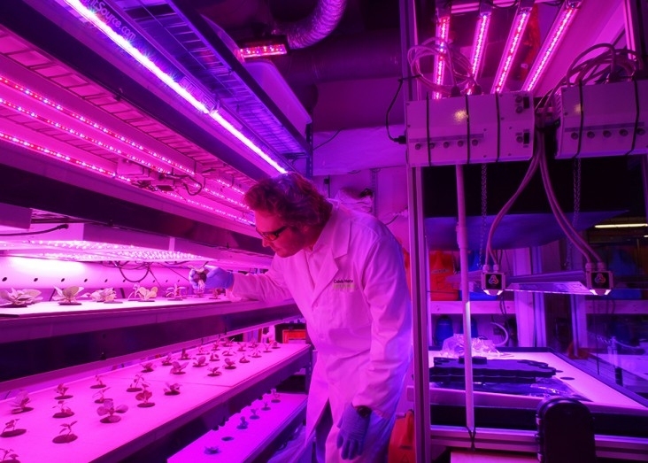 Caleb Harper MA '14 is the lead researcher of CityFARM.