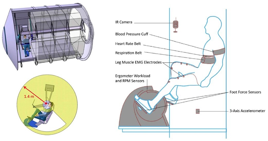 These illustrations depict how the researchers' new centrifuge could be used in space.