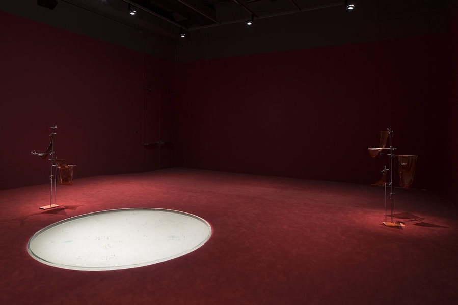 Installation view of Anicka Yi's "6,070,430K of Digital Spit" at the MIT List Visual Arts Center in Cambridge, Massachusetts