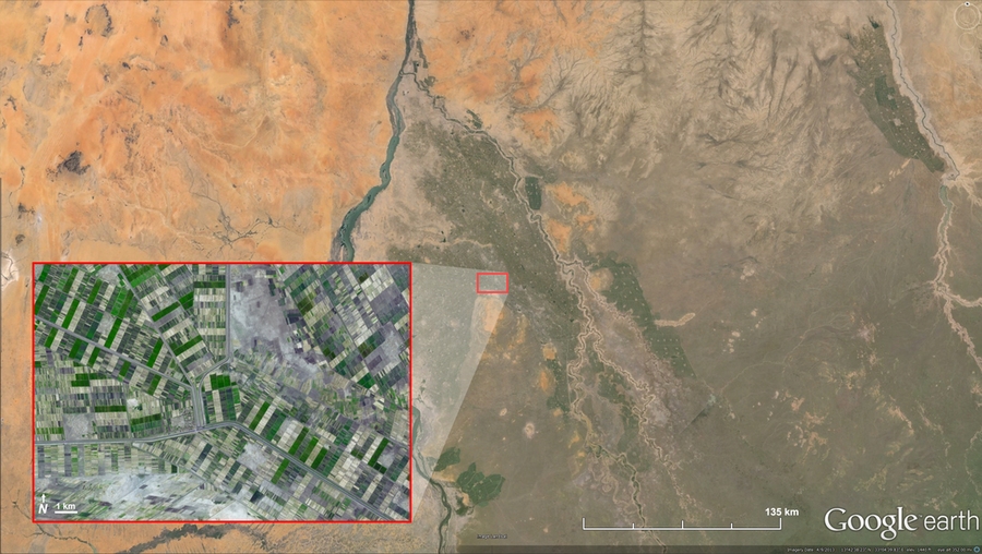 A satellite image shows the irrigated Gezira Scheme in Sudan. The New Halfa Irrigation Scheme is visible in the top right corner of the image. Inset: A zoomed-in satellite image of the irrigated fields of the Gezira Scheme with irrigation canals weaving through them. The center of the red box is at approximately 14.34N, 33.09E.