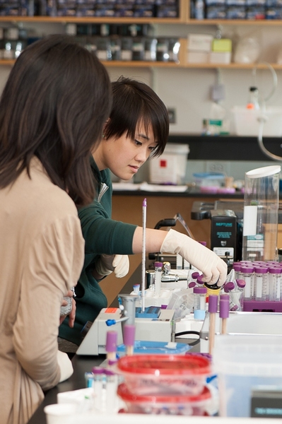 Today, more than 400 teachers in 43 states are using the formal BioBuilder curriculum. Here, a teacher and student participate in a BioBuilder lab.
