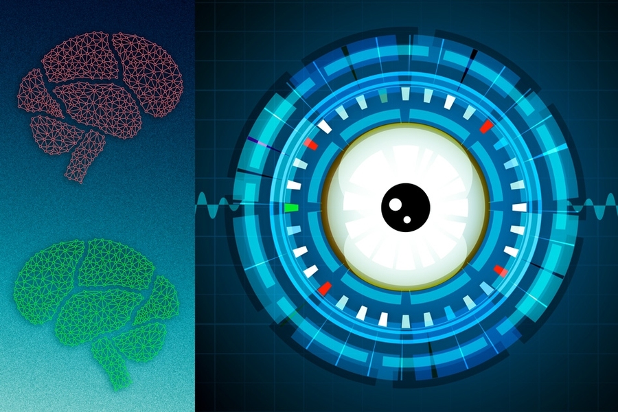 Researchers have developed a computational model of visual representation intended to reflect the way the brain works. 
