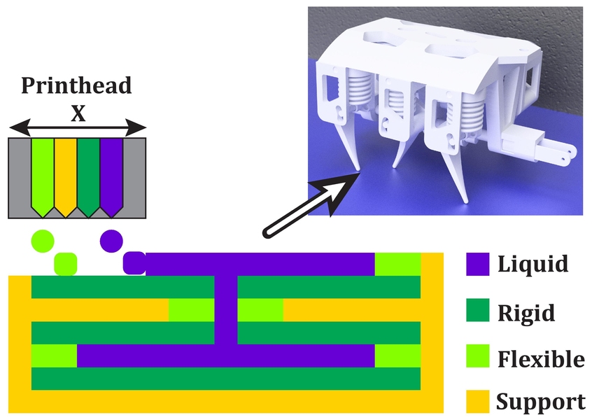 The team's method of printing solid and liquid materials simultaneously allows them to create robotic structures that can be hydraulically powered. 