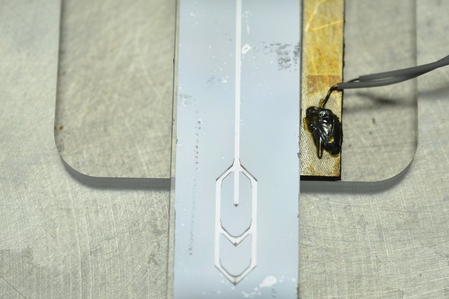A new cell-sorting device consists of a microfluidic channel that vibrates at a very high frequency. As cells flow through the channel, they are pushed to a certain position depending on how they interact with the acoustic forces generated by the vibration. Pictured is an example of the device.