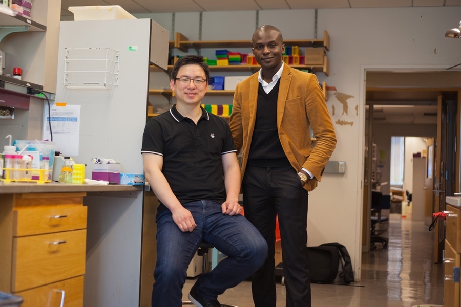 The research was led by MIT postdoc Won-ki Cho (left) and assistant professor of physics Ibrahim Cissé.