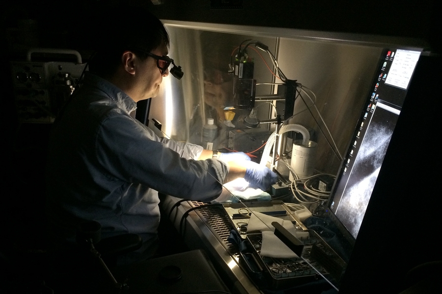 A Massachusetts General Hospital surgeon demonstrates the Lincoln Laboratory’s near-infrared fluorescence imaging (NIRF) system. The system’s camera detects probes attached to tumors, and displays their "glow" on a monitor as he performs surgery.